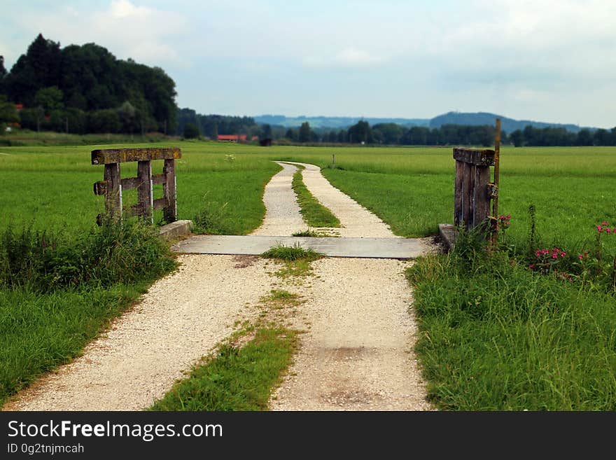 Cattle crossing and gate on dirt path through green meadows in countryside on sunny day.