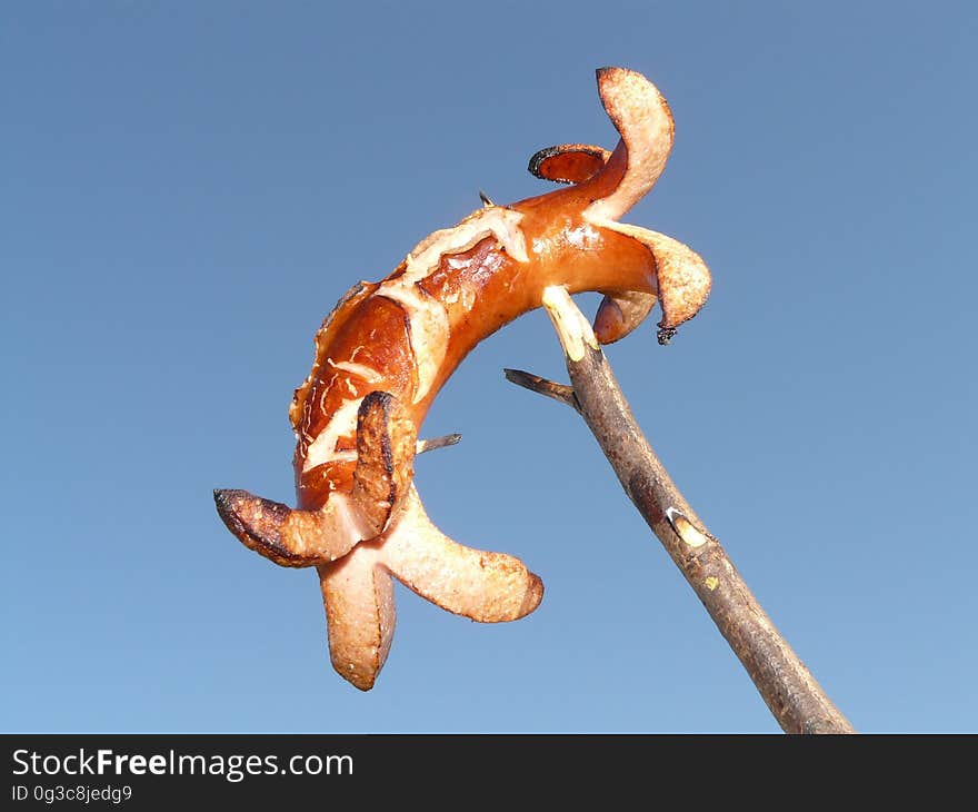 Sky, Close Up, Organism, Macro Photography