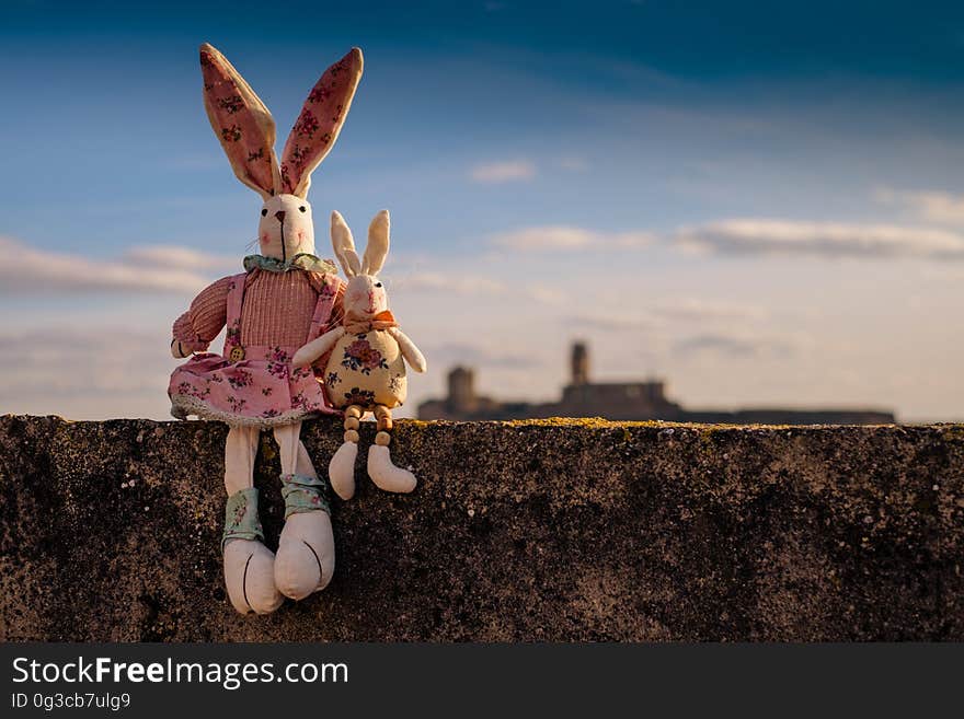 Sky, Rabits And Hares, Stock Photography