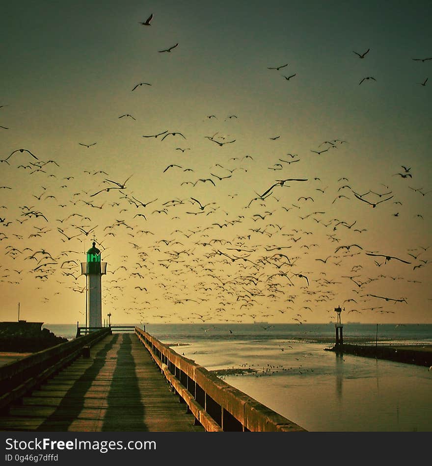 Sky, Horizon, Calm, Sea