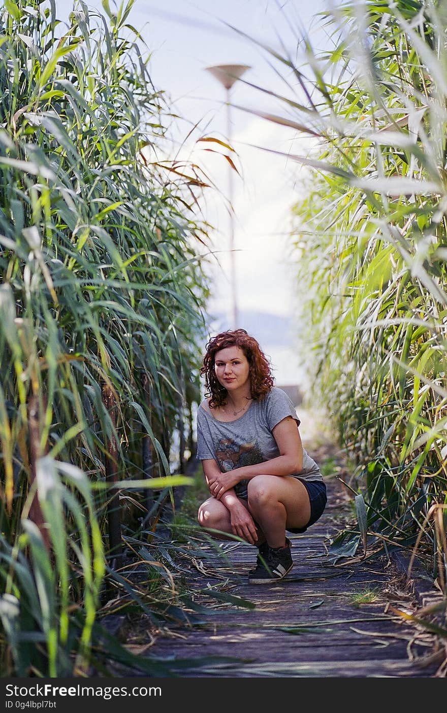 Woman in Gray and Red Scoop Neck T-shirt Seating in Between of Green Plant during Daytime