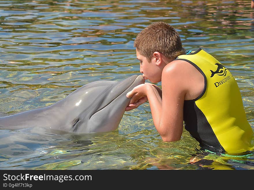 A trainer with wet suit kissing a dolphin. A trainer with wet suit kissing a dolphin.