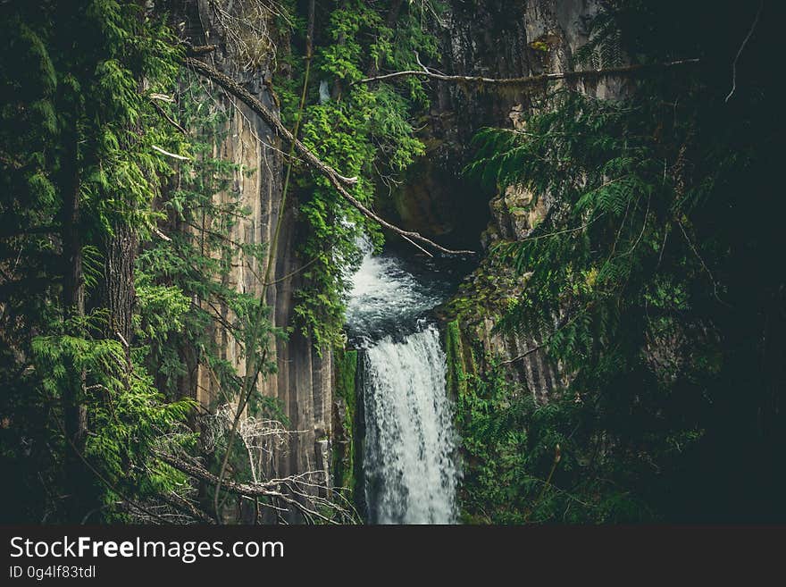 A waterfall in a jungle. A waterfall in a jungle.