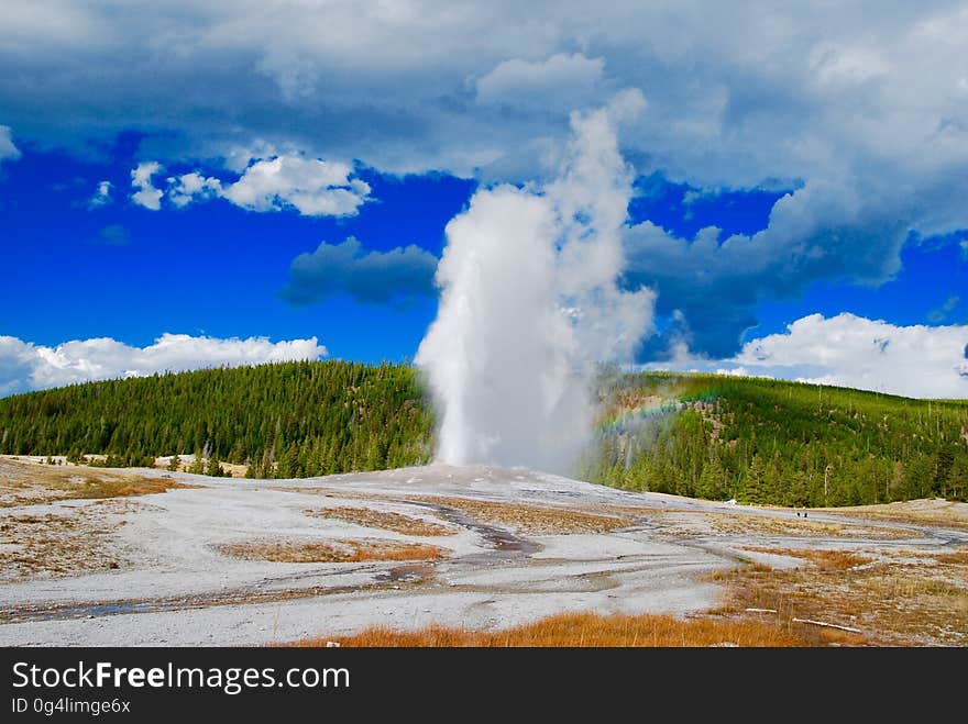 Mountain geyser and a slope covered with evergreen forest in the background.