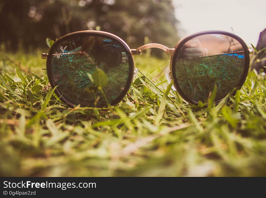 A grassy field with sunglasses. A grassy field with sunglasses.