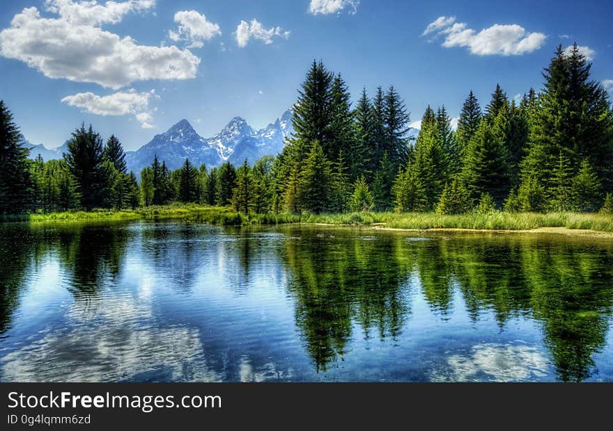 A landscape of a forest with trees, blue lake and mountains in the distance. A landscape of a forest with trees, blue lake and mountains in the distance.