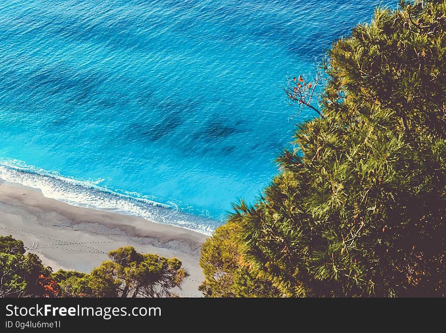 Aerial view of seashore along sandy beach over tree tops on sunny day.