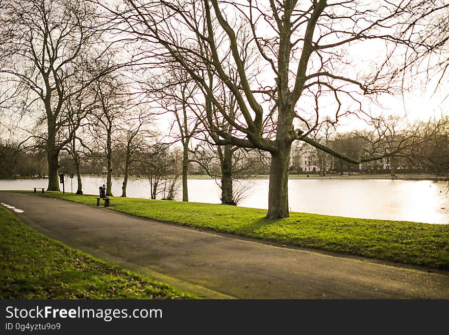 Empty Road With Trees at the Side Near Lake during Daytime