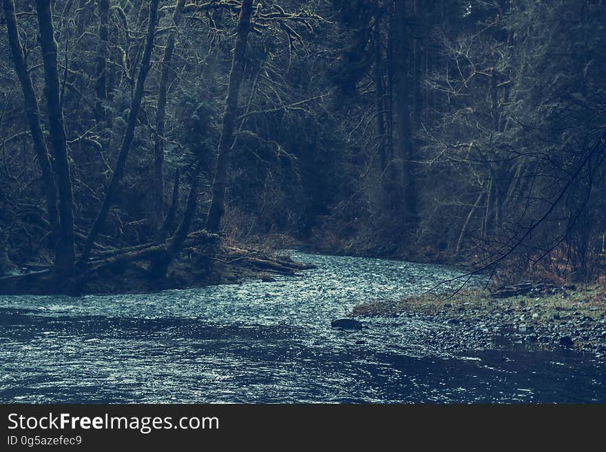 River through forest landscape with blue waters.