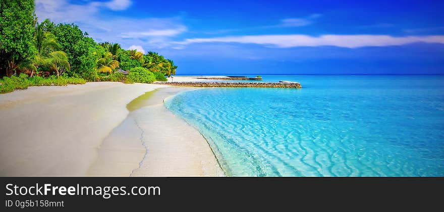 Scenic View of Beach