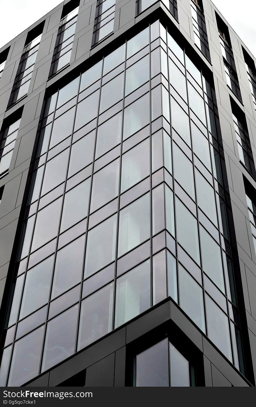 Exterior of glass windows on modern building in black and white.