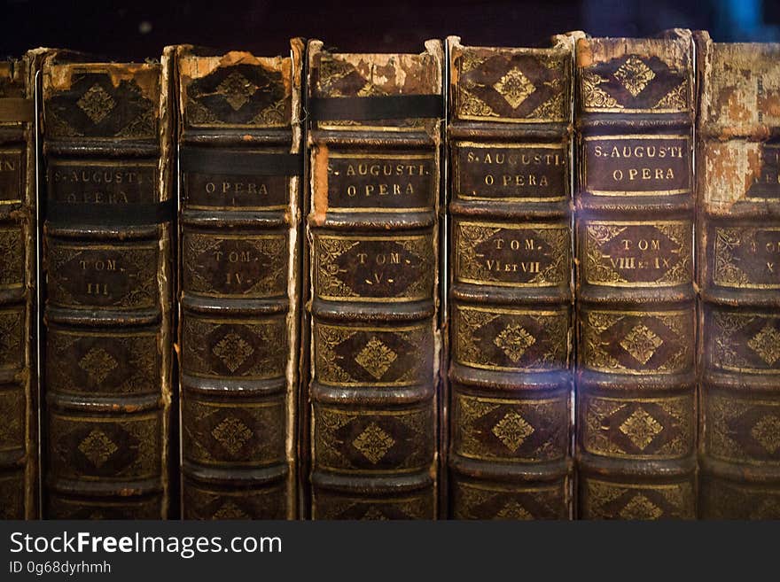 A row of old bound books. A row of old bound books.