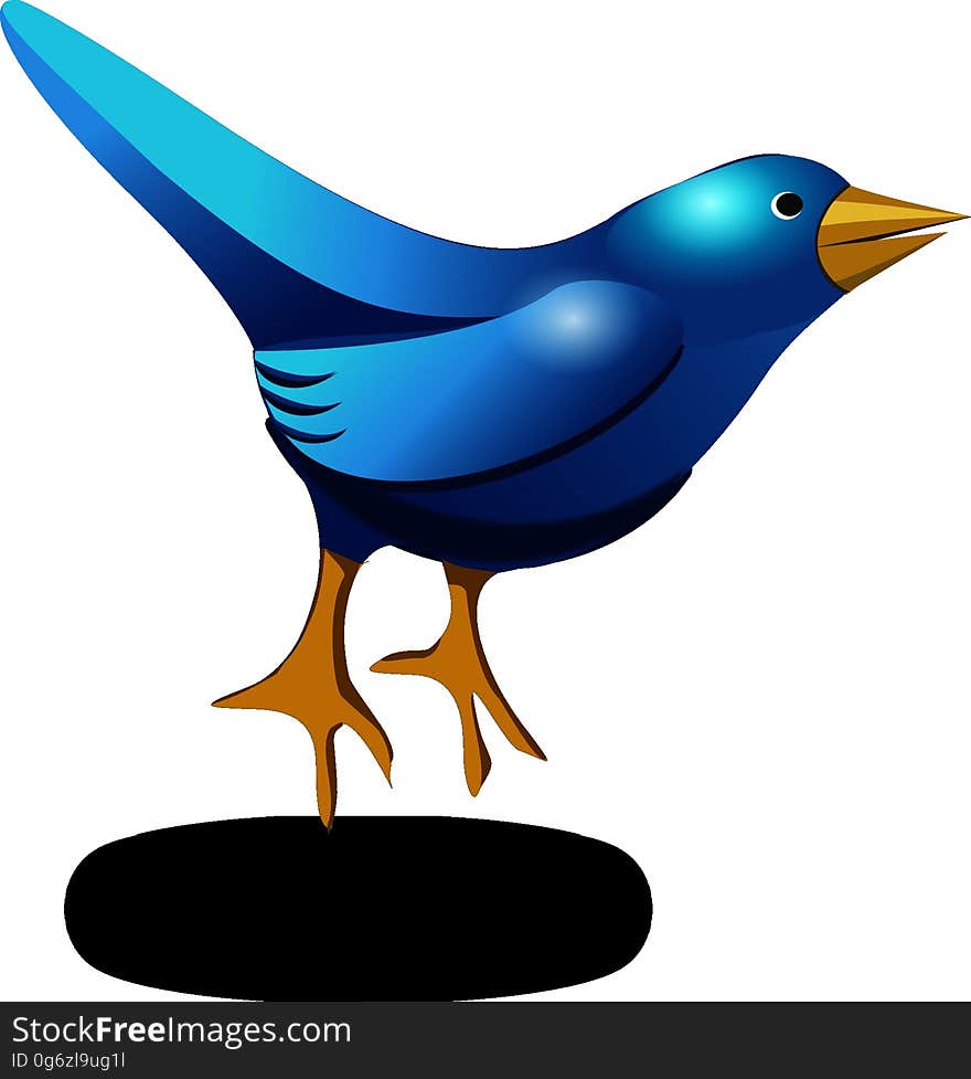 Bird, Beak, Wing, Clip Art