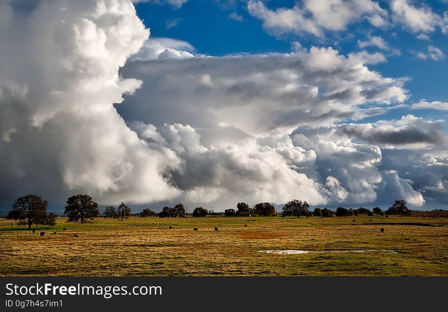 Brown Grass Field Under Cloudy Sky