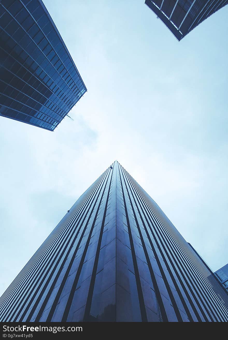 Tall modern office buildings from a low angle. Tall modern office buildings from a low angle.