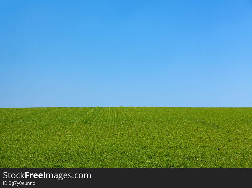 Green Grass Field Under Blue Sky