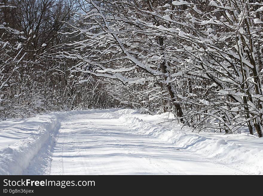 Road Full of Snow