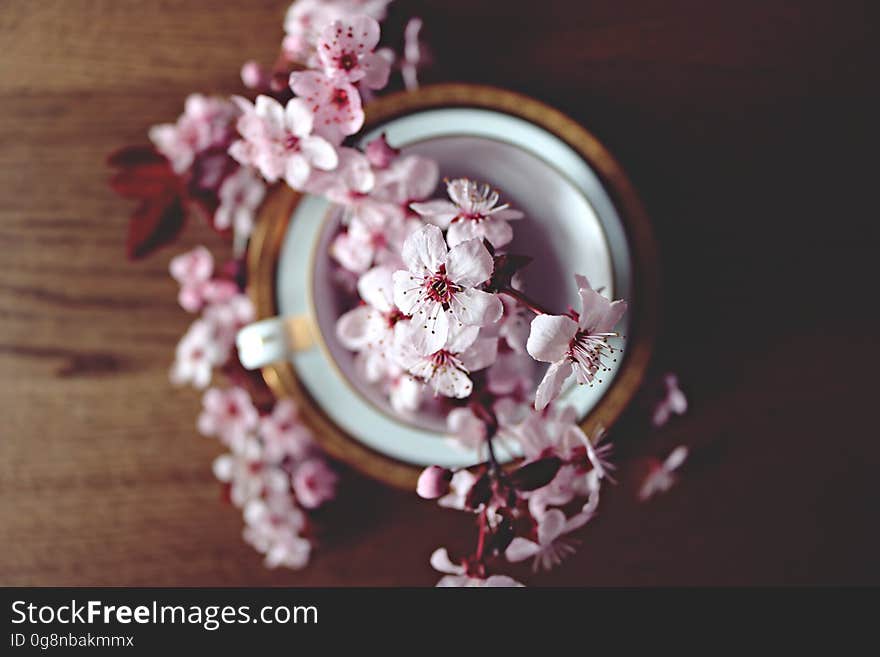 Composite wood and ceramic bowl filled with blossoms viewed from above with selective focus on flowers at center of bowl, all placed upon wooden table. Composite wood and ceramic bowl filled with blossoms viewed from above with selective focus on flowers at center of bowl, all placed upon wooden table.