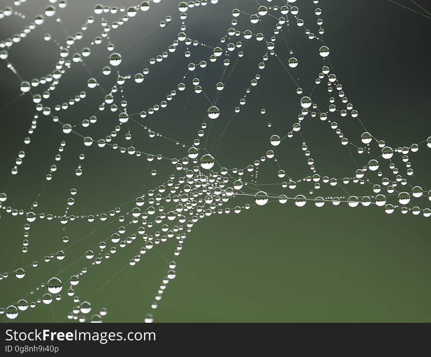 A close up of a spiderweb with raindrops.