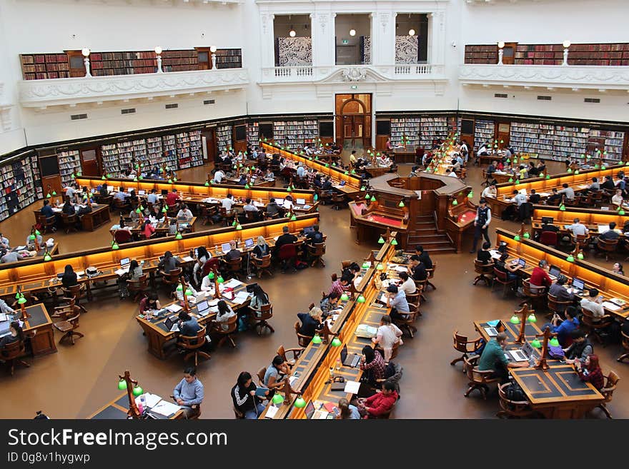 People Sitting Inside Well Lit Room