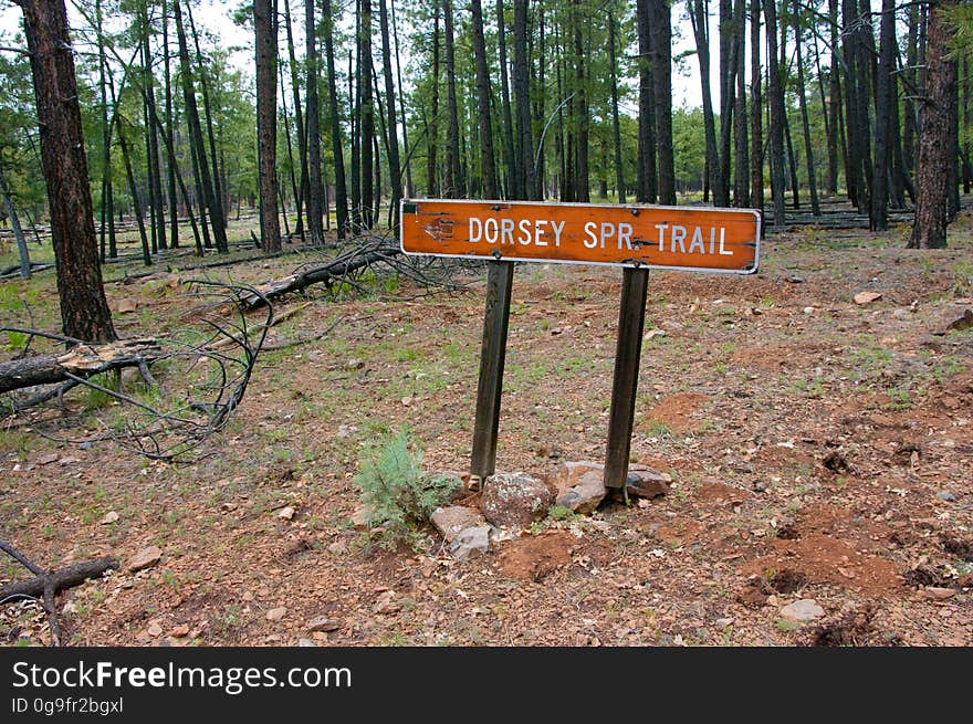 From Forest Road 538, the directions to the Dorsey Trailhead is well marked. FR 538G and 538E become progressively rougher and is not suitable for passenger cars. There is a pull-off at the turn to Dorsey Trailhead. Park there and hike the short distance to the trailhead. Photograph by Deborah Lee Soltesz. Credit USDA Forest Service, Coconino National Forest. For more information about this trail, see the Dorsey Trail No. 7 trail description on the Coconino National Forest website. From Forest Road 538, the directions to the Dorsey Trailhead is well marked. FR 538G and 538E become progressively rougher and is not suitable for passenger cars. There is a pull-off at the turn to Dorsey Trailhead. Park there and hike the short distance to the trailhead. Photograph by Deborah Lee Soltesz. Credit USDA Forest Service, Coconino National Forest. For more information about this trail, see the Dorsey Trail No. 7 trail description on the Coconino National Forest website.