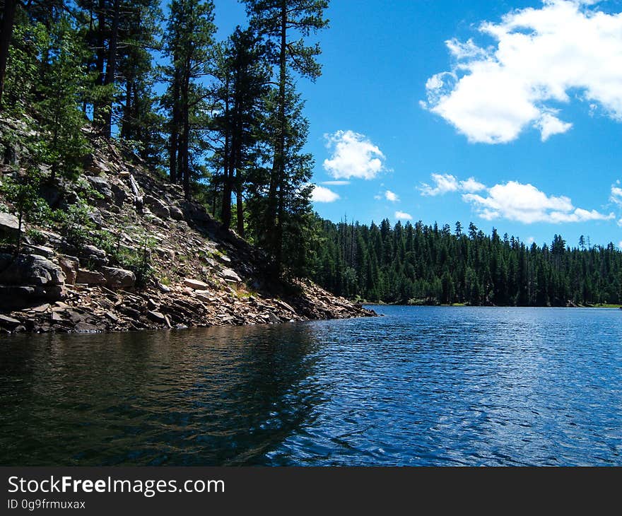 This secluded forest lake is surrounded by ponderosa pines, with a picturesque island in the center. Knoll Lake provides a scenic setting for picnicking, fishing, canoeing, and other activities. The nearby campground, trails, and Mogollon Rim make Knoll Lake a peaceful getaway with plenty to see and do. Photo by Deborah Lee Soltesz, August 2010. Credit: U.S. Forest Service, Coconino National Forest. For more information, visit Knoll Lake on the Coconino National Forest website.