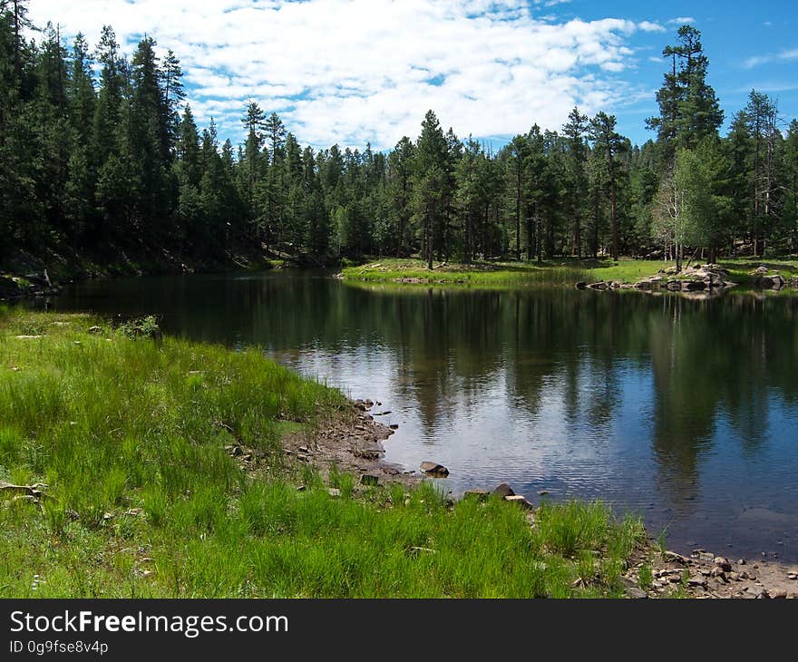 This secluded forest lake is surrounded by ponderosa pines, with a picturesque island in the center. Knoll Lake provides a scenic setting for picnicking, fishing, canoeing, and other activities. The nearby campground, trails, and Mogollon Rim make Knoll Lake a peaceful getaway with plenty to see and do. Photo by Deborah Lee Soltesz, August 2010. Credit: U.S. Forest Service, Coconino National Forest. For more information, visit Knoll Lake on the Coconino National Forest website.