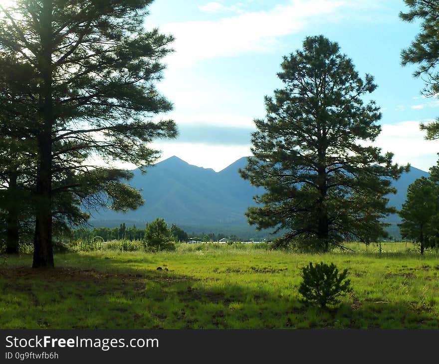 View of San Francisco Peaks from Old Caves Crater north trailhead on the landfill road. Photo by Deborah Lee Soltesz, August 2015. Credit: U.S. Forest Service, Coconino National Forest. For more information about this trail, see the Old Caves Crater trail description on the Coconino National Forest website.