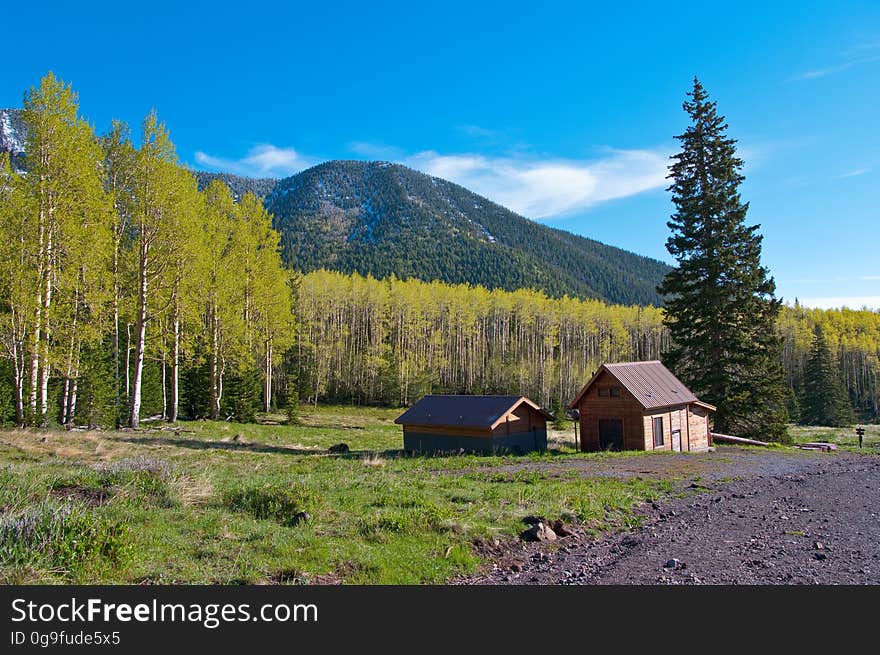 The Inner Basin Trail ascends from Lockett Meadow into the caldera of the San Francisco Peaks, an extinct volcano and home of the tallest peaks in Arizona. The first 1.7 miles of the trail winds through the extensive aspen forest flanking the upper reaches of the Peaks, joining the Waterline Trail briefly before following a jeep road into the caldera. The trail starts at an elevation of 8665 feet, gaining approximately 1200 feet over 2 miles on its way into the Inner Basin. The trail continues another 2 miles, gaining an additional 600 feet or so to join up with the Weatherford Trail. Photo by Deborah Lee Soltesz, May 2009. Credit: U.S. Forest Service, Coconino National Forest. For more information about this trail, see the Inner Basin No. 29 trail description on the Coconino National Forest website.