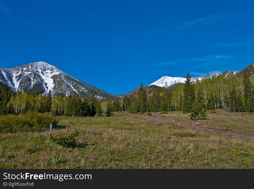 The Inner Basin Trail ascends from Lockett Meadow into the caldera of the San Francisco Peaks, an extinct volcano and home of the tallest peaks in Arizona. The first 1.7 miles of the trail winds through the extensive aspen forest flanking the upper reaches of the Peaks, joining the Waterline Trail briefly before following a jeep road into the caldera. The trail starts at an elevation of 8665 feet, gaining approximately 1200 feet over 2 miles on its way into the Inner Basin. The trail continues another 2 miles, gaining an additional 600 feet or so to join up with the Weatherford Trail. Photo by Deborah Lee Soltesz, May 2009. Credit: U.S. Forest Service, Coconino National Forest. For more information about this trail, see the Inner Basin No. 29 trail description on the Coconino National Forest website.