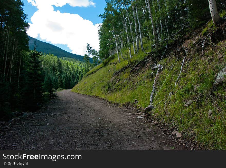 The trail above Jack Spring follows the access road used to maintain Flagstaff city water supply facilities. The Inner Basin Trail ascends from Lockett Meadow into the caldera of the San Francisco Peaks, an extinct volcano and home of the tallest peaks in Arizona. The first 1.7 miles of the trail winds through the extensive aspen forest flanking the upper reaches of the Peaks, joining the Waterline Trail briefly before following a jeep road into the caldera. The trail starts at an elevation of 8665 feet, gaining approximately 1200 feet over 2 miles on its way into the Inner Basin. The trail continues another 2 miles, gaining an additional 600 feet or so to join up with the Weatherford Trail. Photo by Deborah Lee Soltesz, August 2015. Credit: U.S. Forest Service, Coconino National Forest. For more information about this trail, see the Inner Basin No. 29 trail description on the Coconino National Forest website.