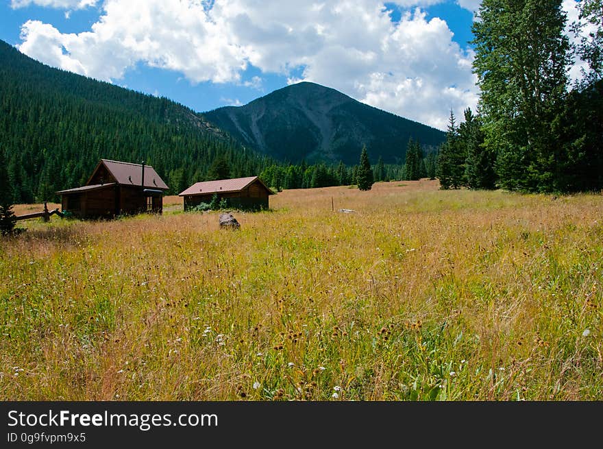 The Inner Basin Trail ascends from Lockett Meadow into the caldera of the San Francisco Peaks, an extinct volcano and home of the tallest peaks in Arizona. The first 1.7 miles of the trail winds through the extensive aspen forest flanking the upper reaches of the Peaks, joining the Waterline Trail briefly before following a jeep road into the caldera. The trail starts at an elevation of 8665 feet, gaining approximately 1200 feet over 2 miles on its way into the Inner Basin. The trail continues another 2 miles, gaining an additional 600 feet or so to join up with the Weatherford Trail. Photo by Deborah Lee Soltesz, August 2015. Credit: U.S. Forest Service, Coconino National Forest. For more information about this trail, see the Inner Basin No. 29 trail description on the Coconino National Forest website.