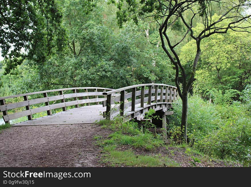 Free-to-use photo of a bridge in nature. Free-to-use photo of a bridge in nature