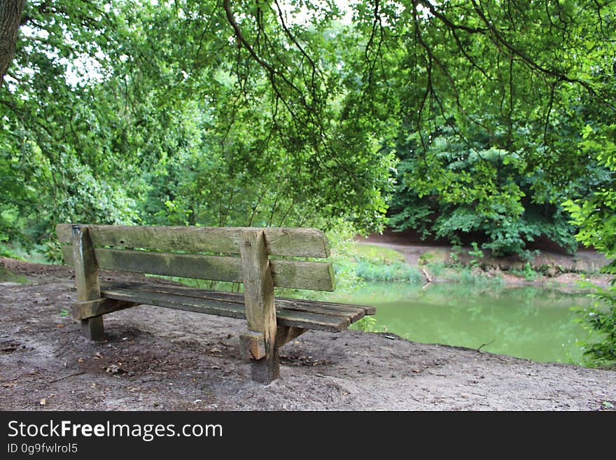 Free-to-use photo of a bench in the forest. Free-to-use photo of a bench in the forest