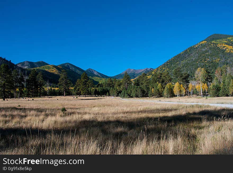 This primitive campground and day use area offers a scenic view of the San Francisco Peaks in the cool aspen trees that surround Lockett Meadow. This is a terrific campground for those who cherish a real mountain camping experience and love to hike wilderness trails. There is a small day use area, making this a beautiful place to have a picnic and enjoy the meadow and Peaks views. The Inner Basin Trail ascends from Lockett Meadow into the caldera of the San Francisco Peaks, an extinct volcano and home of the tallest peaks in Arizona. The first 1.7 miles of the trail winds through the extensive aspen forest flanking the upper reaches of the Peaks, joining the Waterline Trail briefly before following a jeep road into the caldera. The trail starts at an elevation of 8665 feet, gaining approximately 1200 feet over 2 miles on its way into the Inner Basin. The trail continues another 2 miles, gaining an additional 600 feet or so to join up with the Weatherford Trail. Photo by Deborah Lee Soltesz, October 1, 2015. Source: U.S. Forest Service, Coconino National Forest. See Lockett Meadow Campground and Inner Basin No. 29 for information about this area of the Peaks on the Coconino National Forest website.