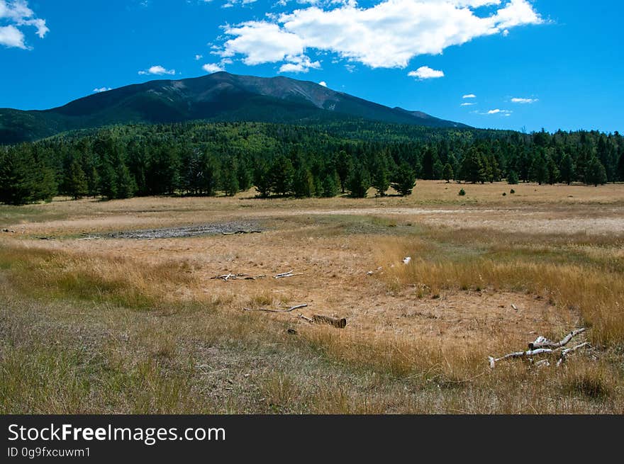 View of the San Francisco Peaks over Bismarck Lake. The lake, which is often dry, serves as an important water source for wildlife. Located on the western flank of the San Francisco Peaks, Bismarck Lake Trail is an easy one mile trail ascending a gentle grade up through a beautiful forest of aspen, fir, and pine to a large meadow. The meadow offers stunning, unobstructed views of the San Francisco Peaks. The trail splits, the left for a short spur leading to a small, frequently dry tank named Bismarck Lake. The right fork heads up a quarter of a mile further to meet the Arizona Trail, offering opportunities for longer outings southeast through Hart Prairie and up to the Arizona Snowbowl, or north towards Little Tank and beyond. Photo by Deborah Lee Soltesz, September 2015. Credit: U.S. Forest Service, Coconino National Forest. For more information about this trail, see the Bismarck Lake trail description on the Coconino National Forest website.