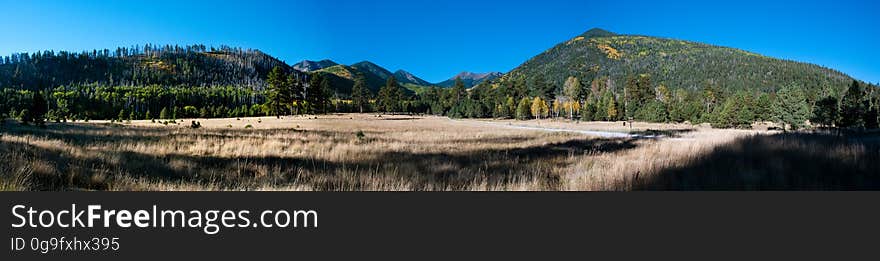 This primitive campground and day use area offers a scenic view of the San Francisco Peaks in the cool aspen trees that surround Lockett Meadow. This is a terrific campground for those who cherish a real mountain camping experience and love to hike wilderness trails. There is a small day use area, making this a beautiful place to have a picnic and enjoy the meadow and Peaks views. The Inner Basin Trail ascends from Lockett Meadow into the caldera of the San Francisco Peaks, an extinct volcano and home of the tallest peaks in Arizona. The first 1.7 miles of the trail winds through the extensive aspen forest flanking the upper reaches of the Peaks, joining the Waterline Trail briefly before following a jeep road into the caldera. The trail starts at an elevation of 8665 feet, gaining approximately 1200 feet over 2 miles on its way into the Inner Basin. The trail continues another 2 miles, gaining an additional 600 feet or so to join up with the Weatherford Trail. Photo by Deborah Lee Soltesz, October 1, 2015. Source: U.S. Forest Service, Coconino National Forest. See Lockett Meadow Campground and Inner Basin No. 29 for information about this area of the Peaks on the Coconino National Forest website.