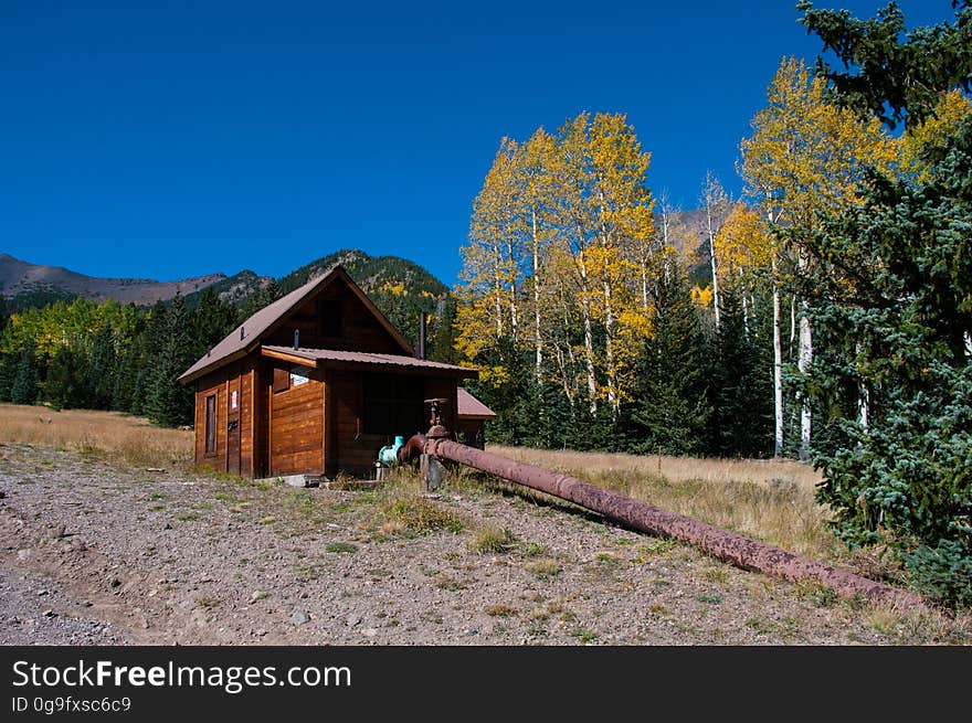 The Inner Basin Trail ascends from Lockett Meadow into the caldera of the San Francisco Peaks, an extinct volcano and home of the tallest peaks in Arizona. The first 1.7 miles of the trail winds through the extensive aspen forest flanking the upper reaches of the Peaks, joining the Waterline Trail briefly before following a jeep road into the caldera. The trail starts at an elevation of 8665 feet, gaining approximately 1200 feet over 2 miles on its way into the Inner Basin. The trail continues another 2 miles, gaining an additional 600 feet or so to join up with the Weatherford Trail. Photo by Deborah Lee Soltesz, October 1, 2015. Source: U.S. Forest Service, Coconino National Forest. See Lockett Meadow Campground and Inner Basin No. 29 for information about this area of the Peaks on the Coconino National Forest website. The Inner Basin Trail ascends from Lockett Meadow into the caldera of the San Francisco Peaks, an extinct volcano and home of the tallest peaks in Arizona. The first 1.7 miles of the trail winds through the extensive aspen forest flanking the upper reaches of the Peaks, joining the Waterline Trail briefly before following a jeep road into the caldera. The trail starts at an elevation of 8665 feet, gaining approximately 1200 feet over 2 miles on its way into the Inner Basin. The trail continues another 2 miles, gaining an additional 600 feet or so to join up with the Weatherford Trail. Photo by Deborah Lee Soltesz, October 1, 2015. Source: U.S. Forest Service, Coconino National Forest. See Lockett Meadow Campground and Inner Basin No. 29 for information about this area of the Peaks on the Coconino National Forest website.