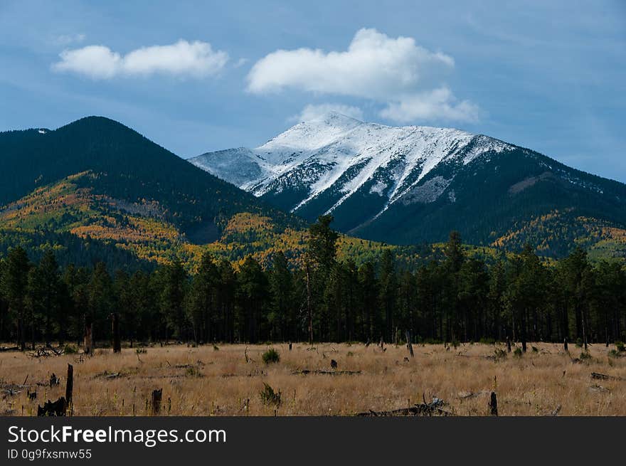 This drive takes you all the way around Arizona&#x27;s highest mountain, winding through a land of pine forests and aspen groves, open prairies and rustic homesteads. Autumn turns the mountain to gold, filling forest roads and trails with visitors come to enjoy the colorful display. There are a number of places along this route where you can stop to take a hike, enjoy a lunch or even set up a primitive camp. That way you can take more than one day to do this drive or combine it with one or more of the other scenic drives in the vicinity of the San Francisco Peaks. Photo by Deborah Lee Soltesz, October 8, 2015. Source: U.S. Forest Service, Coconino National Forest. See Around the Peaks Loop Scenic Drive for information about this drive on the Coconino National Forest website. This drive takes you all the way around Arizona&#x27;s highest mountain, winding through a land of pine forests and aspen groves, open prairies and rustic homesteads. Autumn turns the mountain to gold, filling forest roads and trails with visitors come to enjoy the colorful display. There are a number of places along this route where you can stop to take a hike, enjoy a lunch or even set up a primitive camp. That way you can take more than one day to do this drive or combine it with one or more of the other scenic drives in the vicinity of the San Francisco Peaks. Photo by Deborah Lee Soltesz, October 8, 2015. Source: U.S. Forest Service, Coconino National Forest. See Around the Peaks Loop Scenic Drive for information about this drive on the Coconino National Forest website.