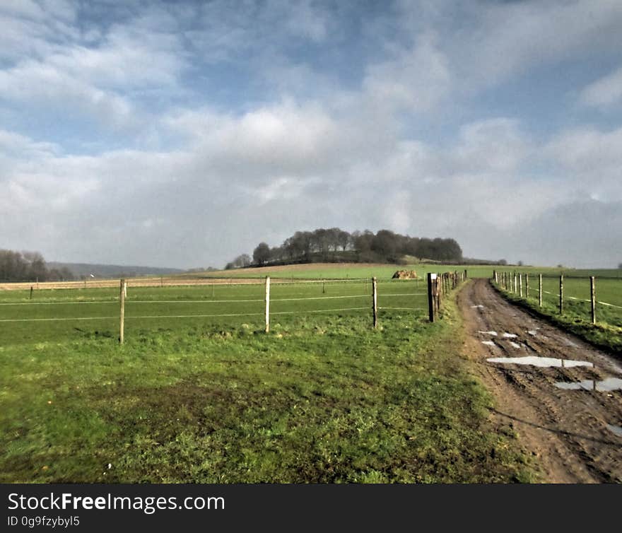 Cloud, Sky, Plant, Natural landscape, Tree, Land lot