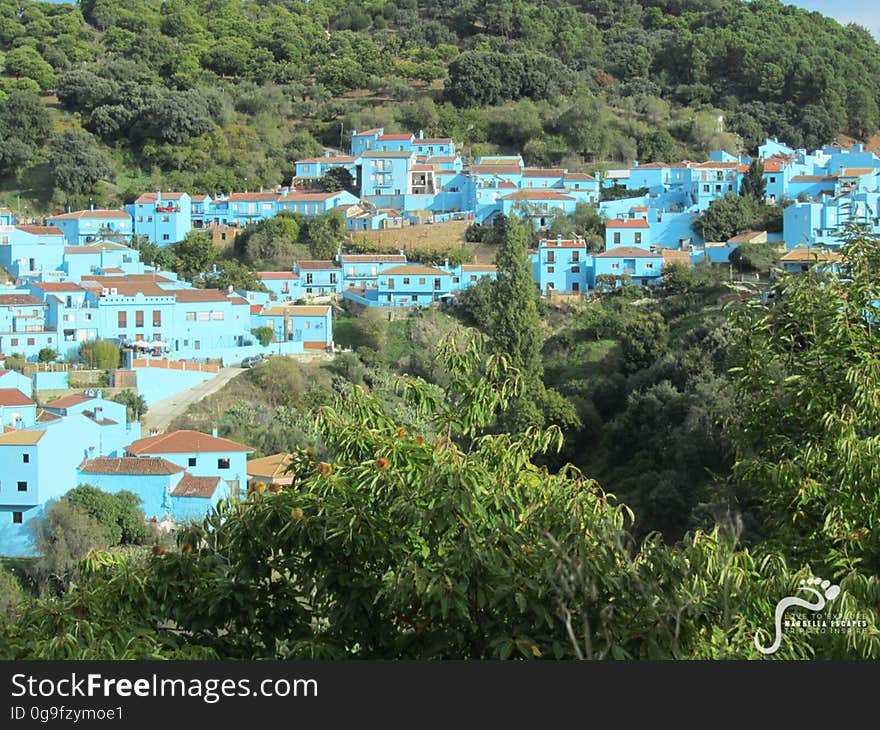 Check out the beautiful &quot;pueblo azul&quot; of Juzcar. A pretty blue village in the Genal Valley, filled with Smurfs and surround by chestnut forests! marbellaescapes.com/tours/private-ronda-tour/. Check out the beautiful &quot;pueblo azul&quot; of Juzcar. A pretty blue village in the Genal Valley, filled with Smurfs and surround by chestnut forests! marbellaescapes.com/tours/private-ronda-tour/