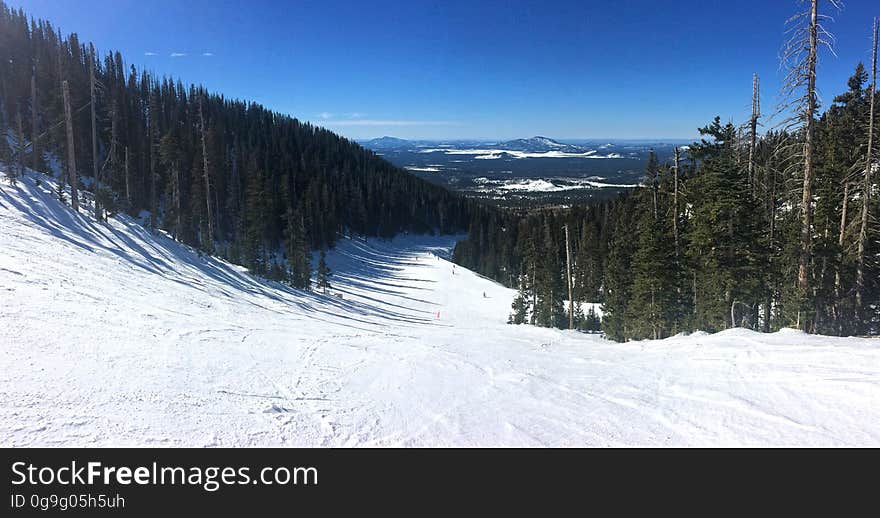 The Arizona Snowbowl is a full-service downhill ski resort in the San Francisco Peaks 14 miles north of Flagstaff, Arizona. This is a view along the blue run section of Volcano trail. Photo by Brady Smith, January 20, 2016. Credit: U.S. Forest Service, Coconino National Forest. See Arizona Snowbowl for information on the Coconino National Forest website. The Arizona Snowbowl is a full-service downhill ski resort in the San Francisco Peaks 14 miles north of Flagstaff, Arizona. This is a view along the blue run section of Volcano trail. Photo by Brady Smith, January 20, 2016. Credit: U.S. Forest Service, Coconino National Forest. See Arizona Snowbowl for information on the Coconino National Forest website.