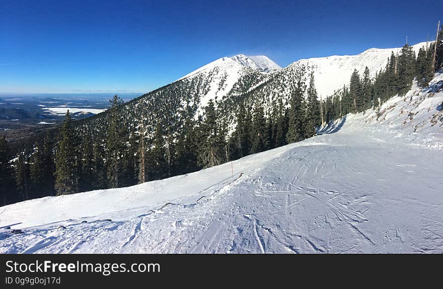 The Arizona Snowbowl is a full-service downhill ski resort in the San Francisco Peaks 14 miles north of Flagstaff, Arizona. This view from Grandview Terrace is looking down Spur Catwalk trail, a black diamond run. Photo by Brady Smith, January 20, 2016. Credit: U.S. Forest Service, Coconino National Forest. See Arizona Snowbowl for information on the Coconino National Forest website. The Arizona Snowbowl is a full-service downhill ski resort in the San Francisco Peaks 14 miles north of Flagstaff, Arizona. This view from Grandview Terrace is looking down Spur Catwalk trail, a black diamond run. Photo by Brady Smith, January 20, 2016. Credit: U.S. Forest Service, Coconino National Forest. See Arizona Snowbowl for information on the Coconino National Forest website.