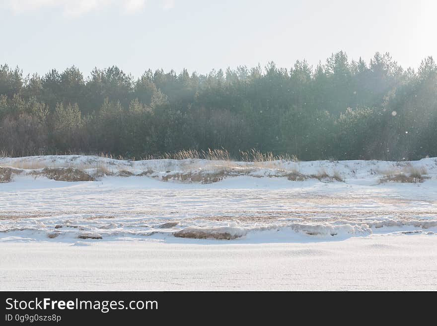 Jurmala beach in winter. Jurmala beach in winter