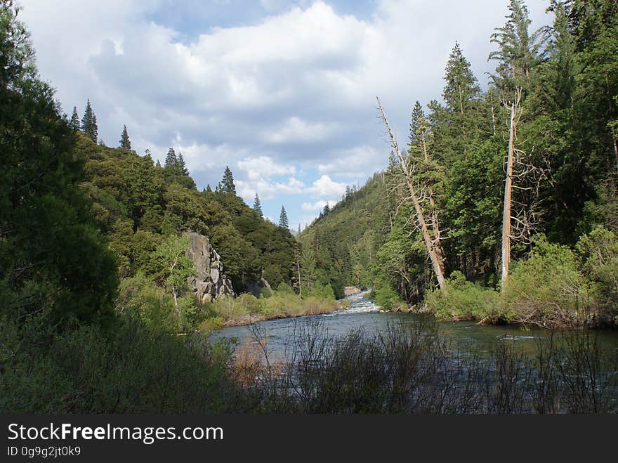 Enjoying the Kings River on a cool, cloudy spring day. Enjoying the Kings River on a cool, cloudy spring day