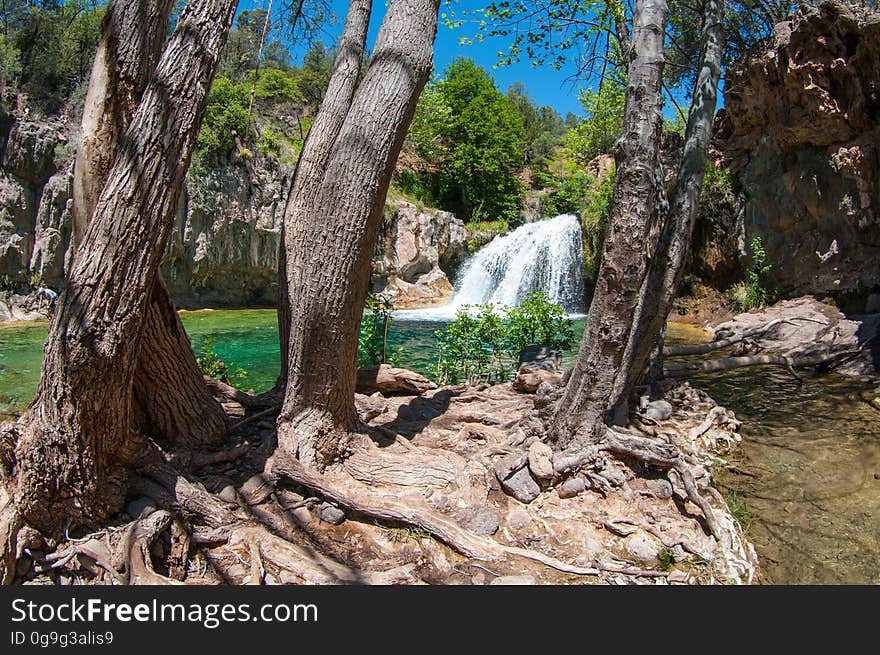 Waterfall Trail is an easy, one mile trail along Fossil Creek Wild and Scenic River outside of Camp Verde, Arizona. A parking permit is required in the busy warm weather months. Trail information www.fs.usda.gov/recarea/coconino/recarea/?recid=55272. Waterfall Trail is an easy, one mile trail along Fossil Creek Wild and Scenic River outside of Camp Verde, Arizona. A parking permit is required in the busy warm weather months. Trail information www.fs.usda.gov/recarea/coconino/recarea/?recid=55272