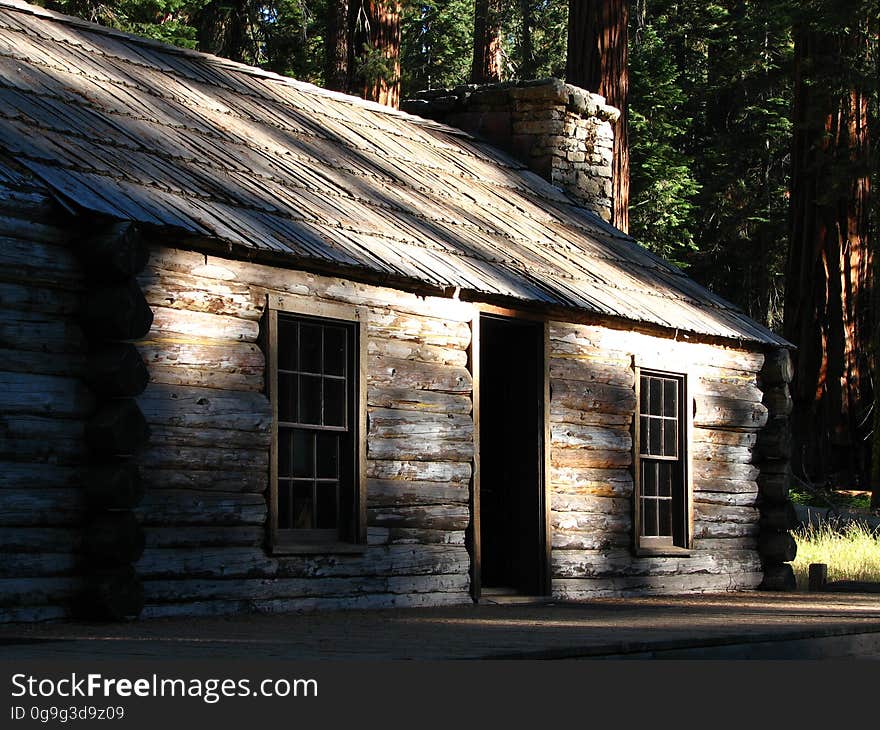 log cabin in redwoods