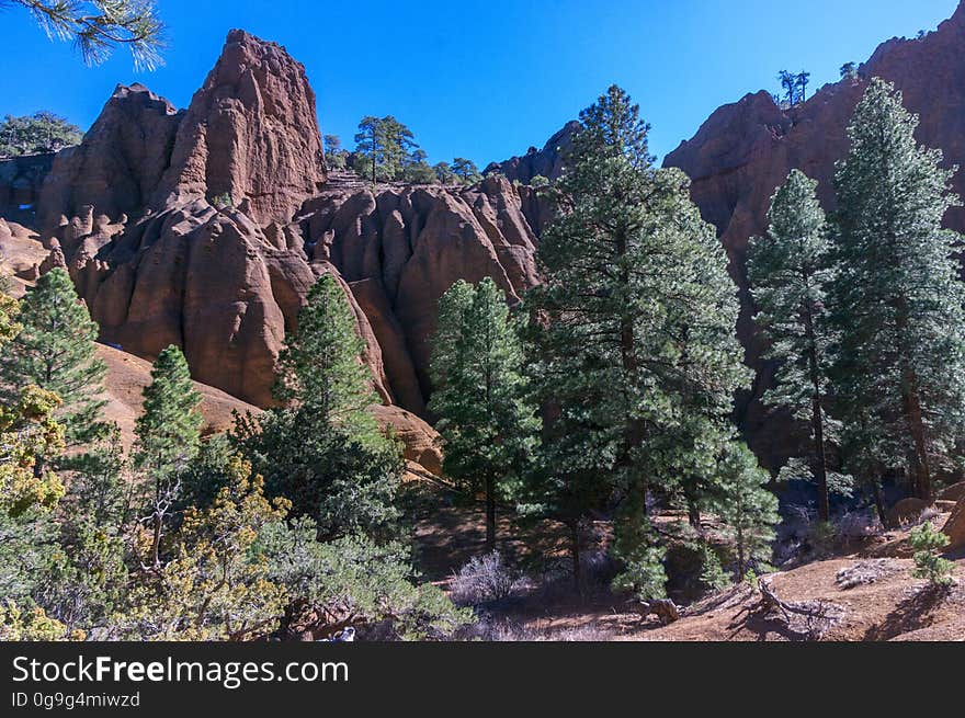 Red Mountain is a volcanic cinder cone that rises 1,000 feet above the surrounding landscape. It is unusual in having the shape of a &quot;U,&quot; and in lacking the symmetrical shape of most cinder cones. In addition, a large natural amphitheater cuts into the cone&#x27;s northeast flank. Erosional pillars called &quot;hoodoos&quot; decorate the amphitheater, and many dark mineral crystals erode out of its walls. Studies by U.S. Geological Survey &#x28;USGS&#x29; and Northern Arizona University scientists suggest that Red Mountain formed in eruptions about 740,000 years ago. The trailhead is located on U.S. Highway 180, 25 miles northwest of Flagstaff, Arizona. The trail is an easy 1.5 miles through open terrain with fantastic views of the San Francisco Peaks and surrounding San Francisco Volcanic Field. There is a short &#x28;approximately 6 feet&#x29; ladder climb required just before entering the natural amphitheater of the cinder cone. Photo by Deborah Lee Soltesz, February 2015. Credit: U.S. Forest Service, Coconino National Forest. For more information about this trail, see the Red Mountain Trail #159 trail description on the Coconino National Forest website. Red Mountain is a volcanic cinder cone that rises 1,000 feet above the surrounding landscape. It is unusual in having the shape of a &quot;U,&quot; and in lacking the symmetrical shape of most cinder cones. In addition, a large natural amphitheater cuts into the cone&#x27;s northeast flank. Erosional pillars called &quot;hoodoos&quot; decorate the amphitheater, and many dark mineral crystals erode out of its walls. Studies by U.S. Geological Survey &#x28;USGS&#x29; and Northern Arizona University scientists suggest that Red Mountain formed in eruptions about 740,000 years ago. The trailhead is located on U.S. Highway 180, 25 miles northwest of Flagstaff, Arizona. The trail is an easy 1.5 miles through open terrain with fantastic views of the San Francisco Peaks and surrounding San Francisco Volcanic Field. There is a short &#x28;approximately 6 feet&#x29; ladder climb required just before entering the natural amphitheater of the cinder cone. Photo by Deborah Lee Soltesz, February 2015. Credit: U.S. Forest Service, Coconino National Forest. For more information about this trail, see the Red Mountain Trail #159 trail description on the Coconino National Forest website.