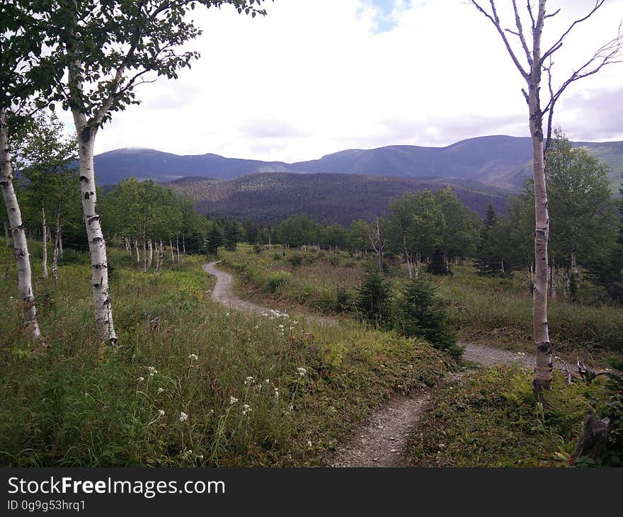 001 - Parc national de la Gaspésie : Mont Ernest Laforce