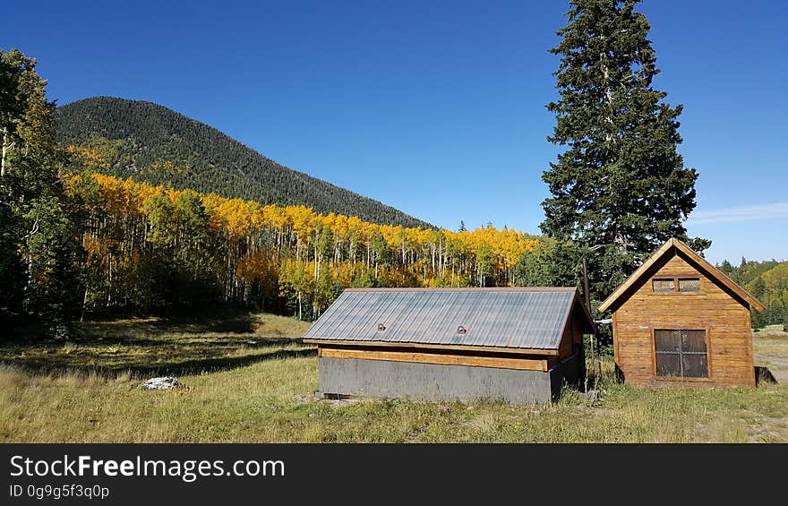 Fall colors in the Inner Basin, September 23, 2016. The Inner Basin Trail ascends from Lockett Meadow into the caldera of the San Francisco Peaks, an extinct volcano and home of the tallest peaks in Arizona. The first 1.7 miles of the trail winds through the extensive aspen forest flanking the upper reaches of the Peaks, joining the Waterline Trail briefly before following a jeep road into the caldera. The trail starts at an elevation of 8665 feet, gaining approximately 1200 feet over 2 miles on its way into the Inner Basin. The trail continues another 2 miles, gaining an additional 600 feet or so to join up with the Weatherford Trail. Photo by George Jozens, September 23, 2016. Source: U.S. Forest Service, Coconino National Forest. See Lockett Meadow Campground and Inner Basin No. 29 for information about this area of the Peaks on the Coconino National Forest website. Fall colors in the Inner Basin, September 23, 2016. The Inner Basin Trail ascends from Lockett Meadow into the caldera of the San Francisco Peaks, an extinct volcano and home of the tallest peaks in Arizona. The first 1.7 miles of the trail winds through the extensive aspen forest flanking the upper reaches of the Peaks, joining the Waterline Trail briefly before following a jeep road into the caldera. The trail starts at an elevation of 8665 feet, gaining approximately 1200 feet over 2 miles on its way into the Inner Basin. The trail continues another 2 miles, gaining an additional 600 feet or so to join up with the Weatherford Trail. Photo by George Jozens, September 23, 2016. Source: U.S. Forest Service, Coconino National Forest. See Lockett Meadow Campground and Inner Basin No. 29 for information about this area of the Peaks on the Coconino National Forest website.